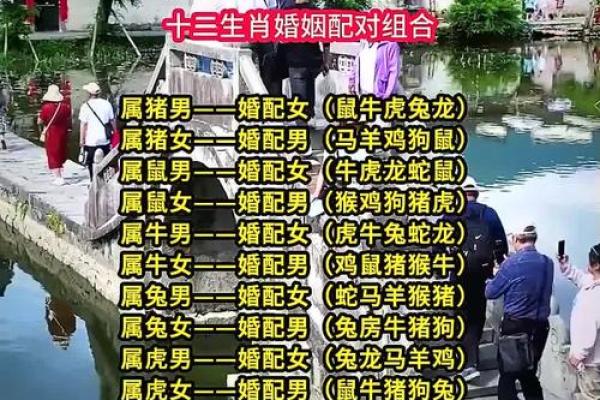 夫妻最好的属相配对