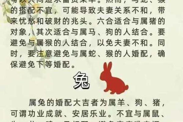夫妻最好的属相配对