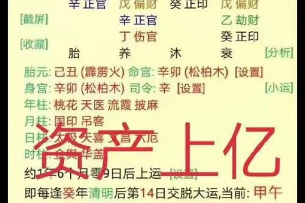八字与投机
