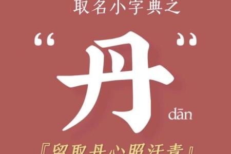 成人改名要符合哪些条件-姓名学-华易网姓名