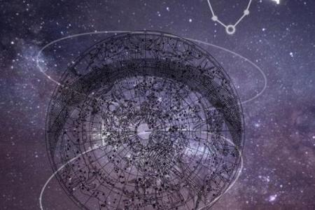 信星座的人比较蠢吗