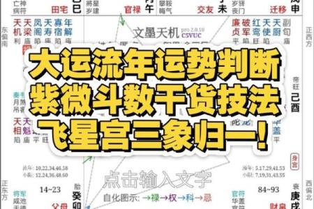 紫薇斗数看流年考学