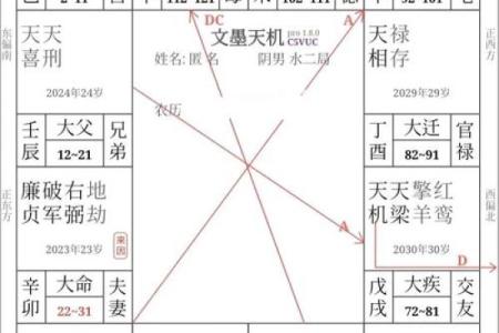 紫薇斗数忌转忌会发生什么