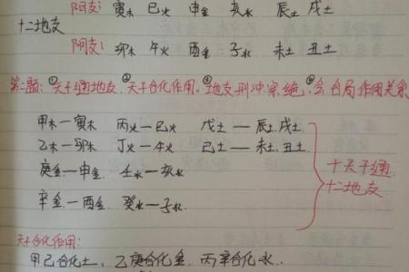八字入门必背知识