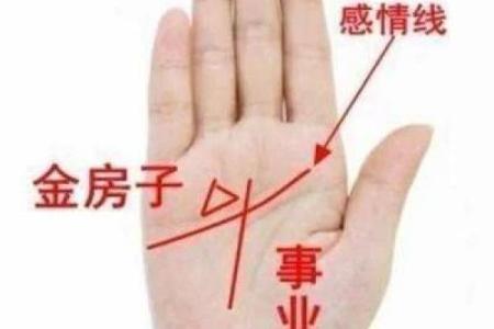 《手相学习百科》：手相看财运和好运