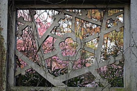 梅花窗花风水