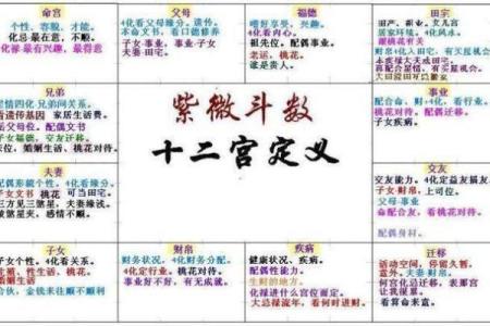 紫微斗数驾照 紫微斗数看学历 考运？