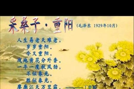 节日与命理 重阳节出生的人好吗