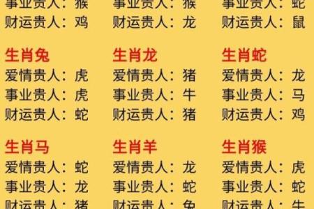 属鼠的血型和性格命运