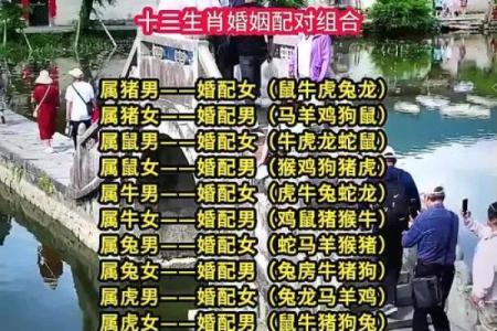 夫妻最好的属相配对