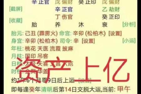 八字与投机