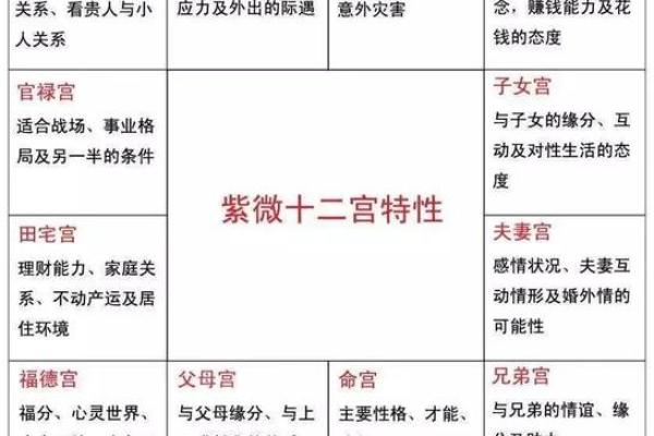 紫微斗数之疾厄宫与诸星，巨门星在疾病宫是什么意思？