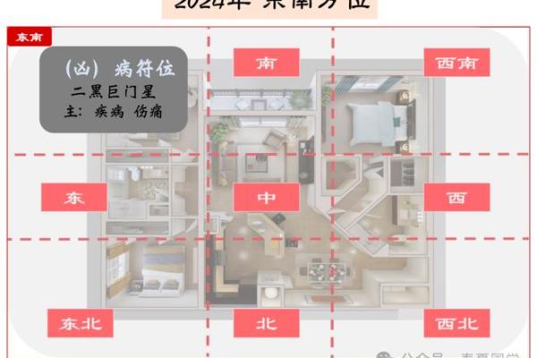 2024年旺财运的最佳方法 家中风水摆放指南