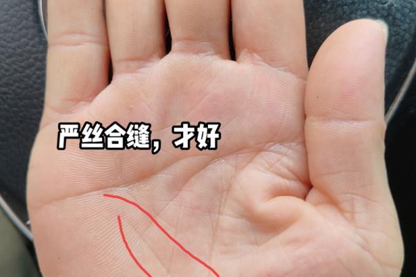 《手相学习百科》：手相健康记号