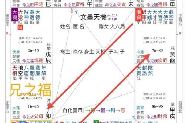 紫微斗数之:看命程序 紫微斗数之:看命程序