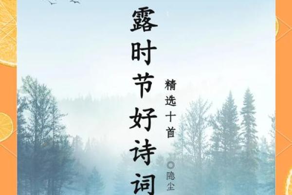 白露节气的含义是什么 白露时节有什么民俗活动
