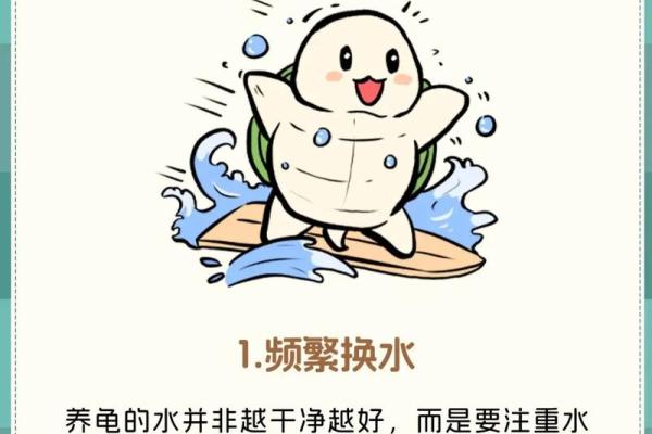 办公室养龟有什么风水说法讲究
