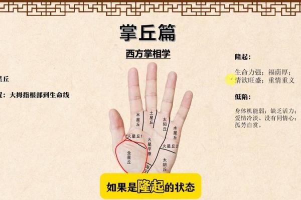 《手相学习百科》：掌丘