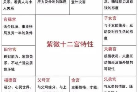 紫微斗数之疾厄宫与诸星，巨门星在疾病宫是什么意思？