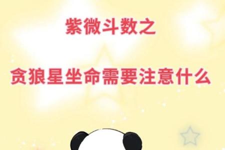 紫薇斗数贪狼