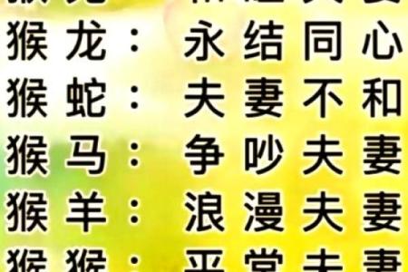 生肖配对姻缘猴男和狗女配对 生肖猴男配生肖狗女？