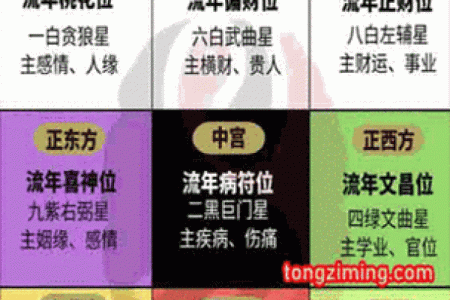 童子命排盘测算