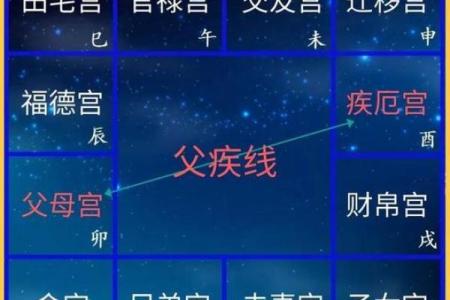 紫薇斗数亥宫