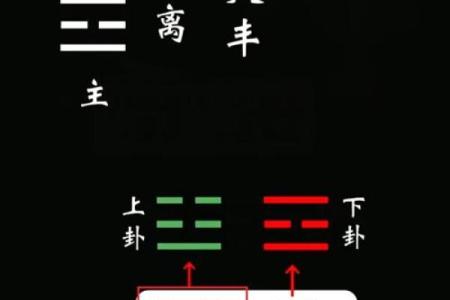 梅花易数怎么给人算命