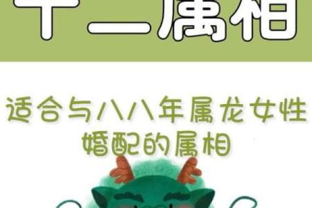 属龙和什么属相最配对 属龙和什么属相相冲