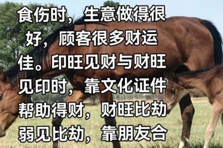 八字里蕴含着你的财运