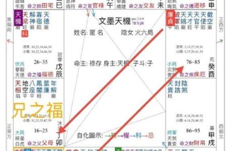 紫微斗数之：看命程序
