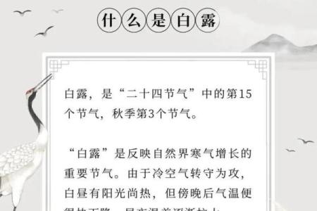 白露节气的含义是什么 白露时节有什么民俗活动