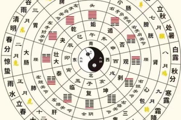 十二地支阴阳五行及方位