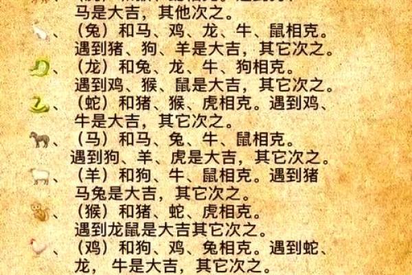 生肖属兔合婚须知，属兔配对需要注意的问题！
