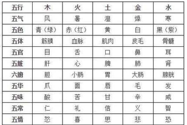 八字命理入门基础知识「方便初学」