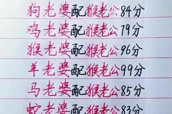 生肖配对什么生肖最好 最好的生肖组合