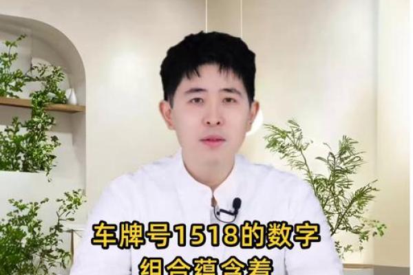 车牌数字78的寓意,民俗习惯不可少