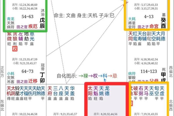 配偶本地外地紫薇斗数