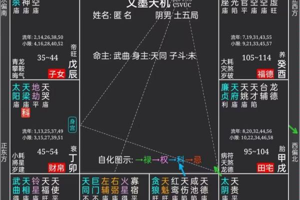 紫薇斗数平什么意思