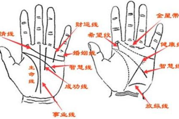 男人手相算命图解揭密男人命运