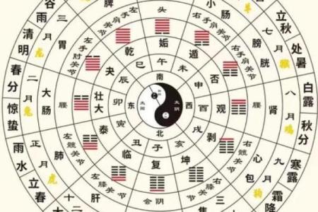 十二地支阴阳五行及方位
