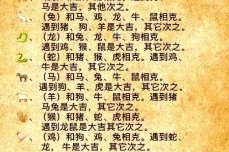 生肖属兔合婚须知，属兔配对需要注意的问题！
