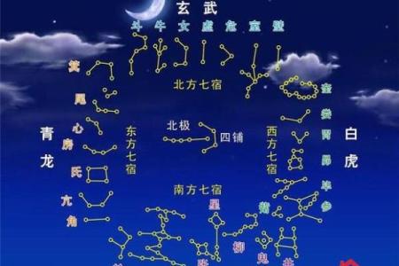 紫微斗数之父母宫与诸星，太阳星在父母宫是什么意思？