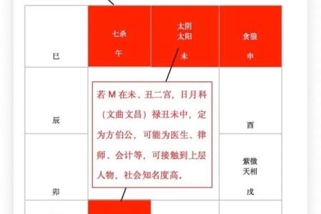 紫微斗数诸星落诸宫之：紫微星兄弟宫详解