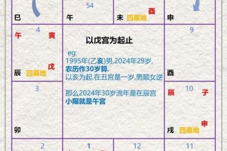 紫薇斗数能算什么