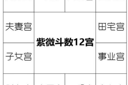 紫微斗数哪个宫位断事最准 紫微斗数各宫含义？