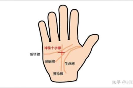 算命看手相算命图解 女性子女线