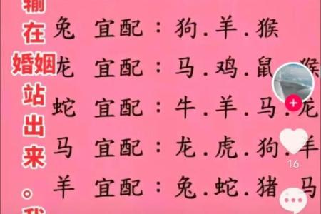 鼠和兔八字合不合 鼠兔八字相合吗