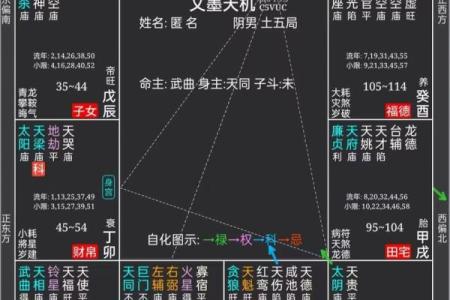 紫薇斗数平什么意思