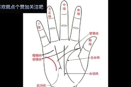 男人手相算命图解揭密男人命运
